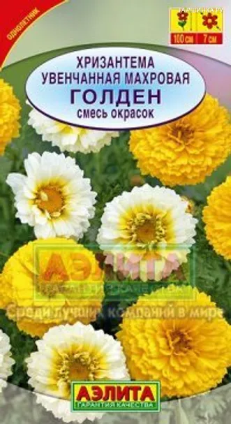 Хризантема увенчанная, Голден, смесь окрасок
