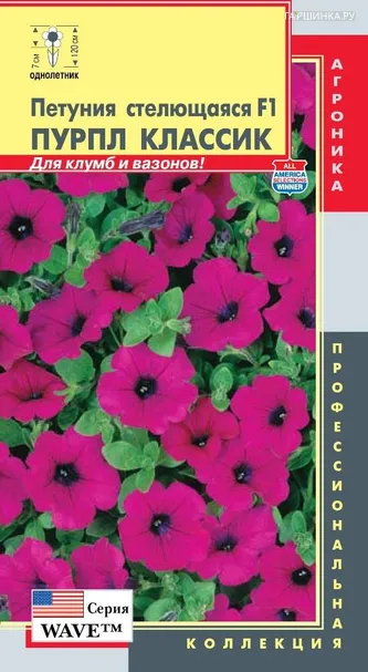 Петуния Пурпл Кассик (Wave) F1 стелющаяся