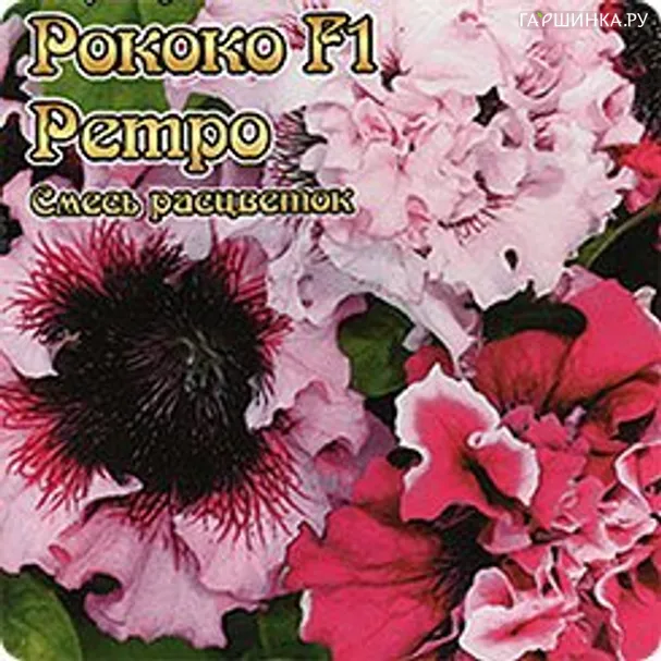 Петуния Рококо Ретро F1 гигантско-цветковая смесь, 12 шт