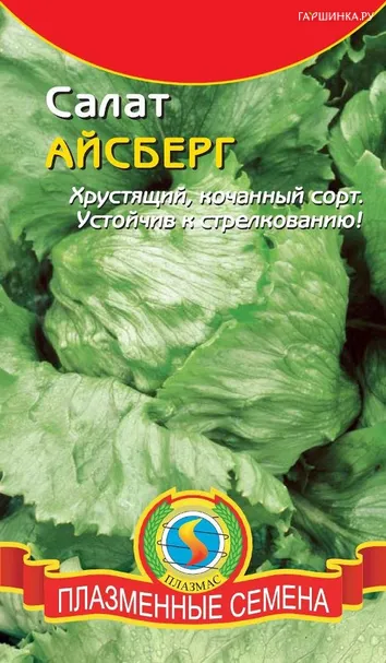 Салат кочанный Айсберг