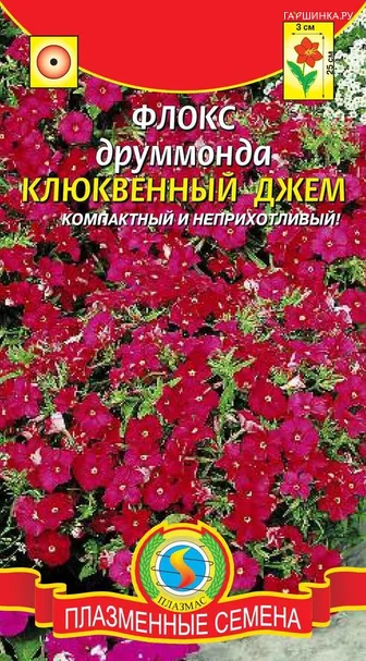 Флокс друмонда Клюквенный джем