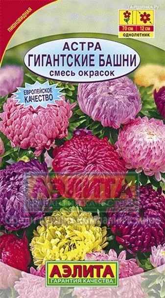 Астра Гигантские башни, смесь окрасок ц/п