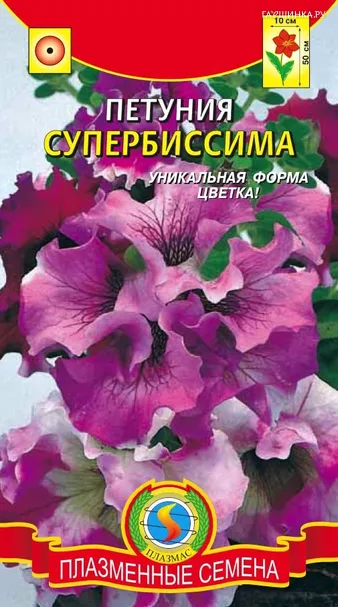 Петуния Супербиссима