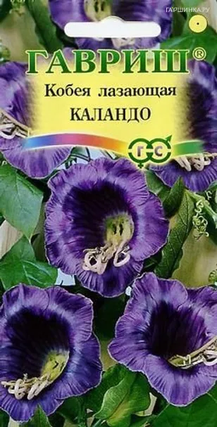 Кобея Каландо лазающая 5 шт, Семена Гавриш