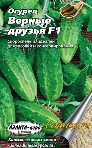 Огурец Верные друзья F1