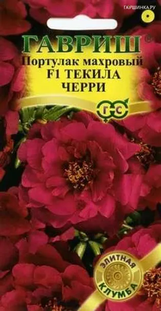 Портулак Текила Черри F1 5шт