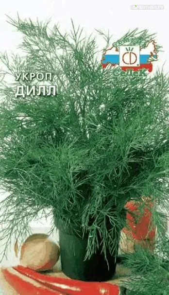 Укроп Дилл