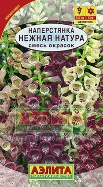 Наперстянка Нежная натура пурпурная