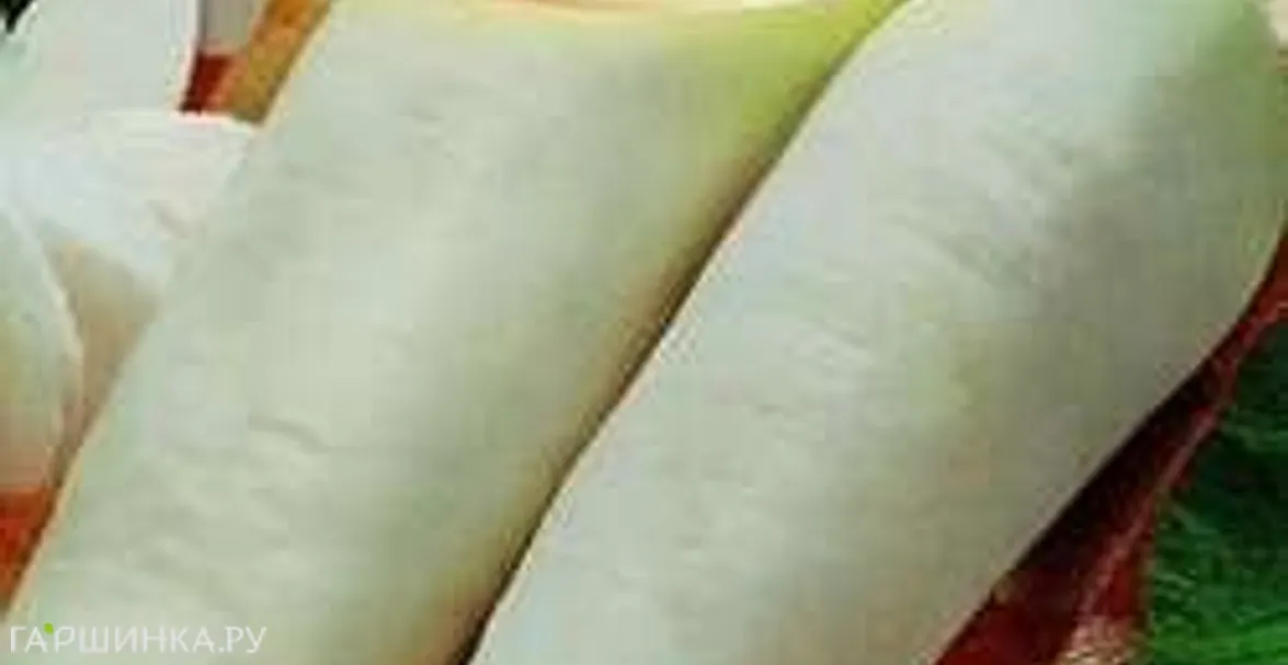 Дайкон Клык слона 1,0 (б/п)