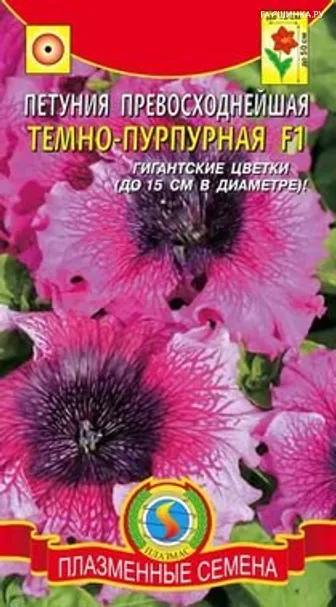 Петуния Темно-пурпурная F1 превосходнейшая