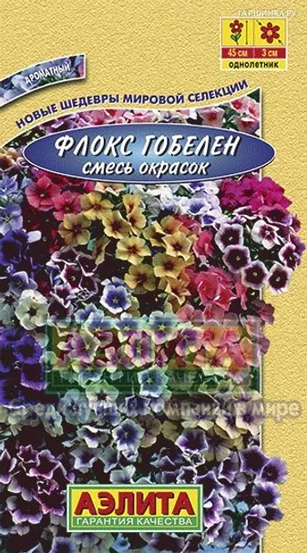 Флокс Гобелен, смесь окрасок
