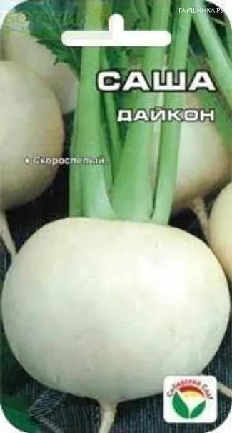 Дайкон Саша 1г.