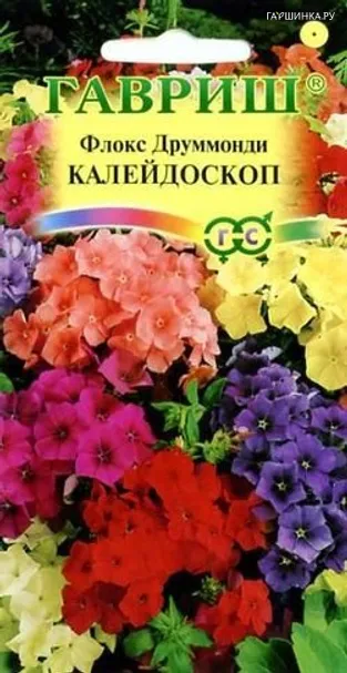 Флокс Калейдоскоп, друммонди*, смесь 0,1 г