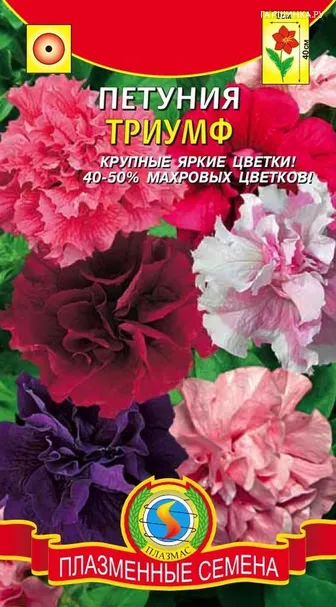Петуния Триумф
