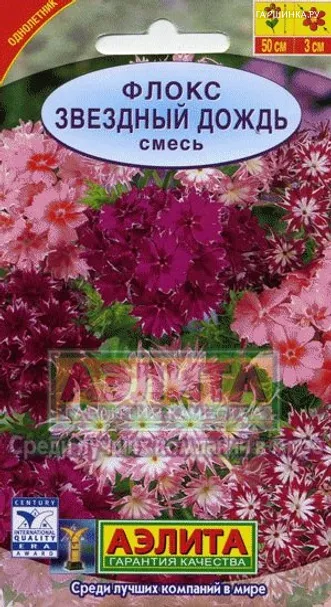 Флокс Звездный дождь, смесь окрасок