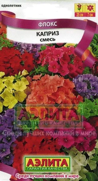 Флокс Каприз, смесь окрасок