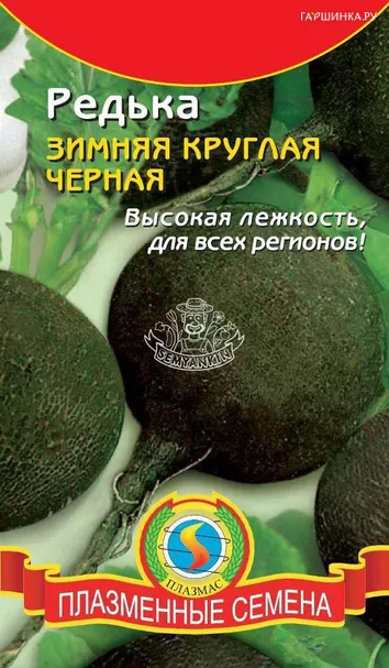 Редька Зимняя чёрная круглая
