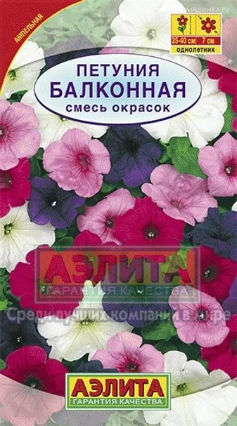 Петуния Балконная