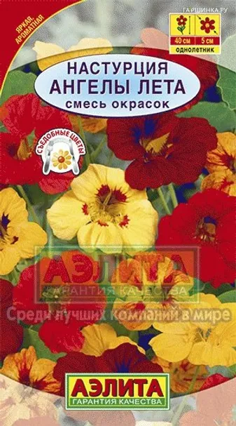 Настурция Ангелы лета, смесь окрасок