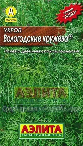 Укроп Вологодские кружева