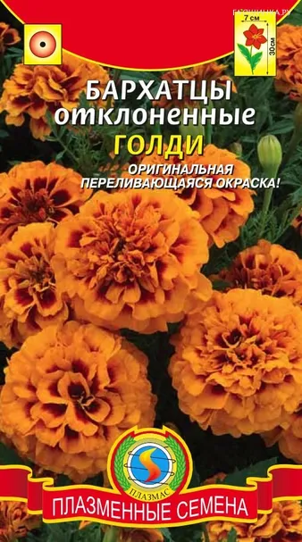 Бархатцы отклоненные Голди