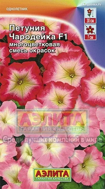 Петуния Чародейка F1 многоцветковая смесь