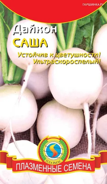 Дайкон Саша (Плазмас)