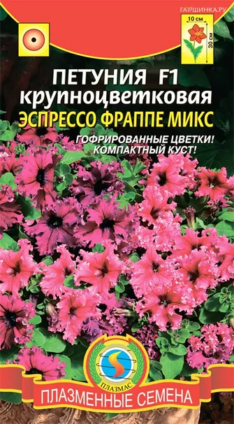 Петуния Эспрессо Фрапе Микс крупноцветковая