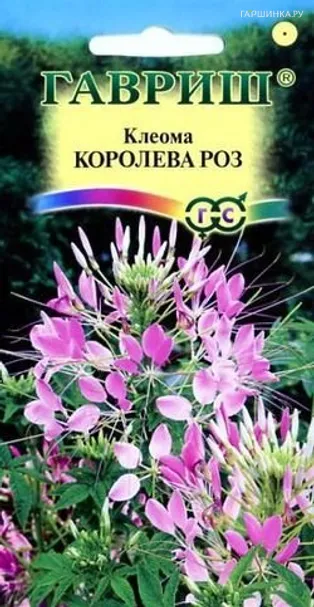 Клеома Королева роз 0,3 г