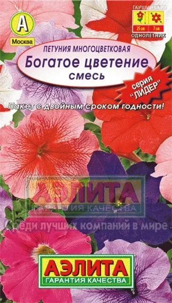 Петуния Богатое цветение