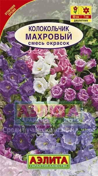 Колокольчик Махровый