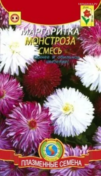 Маргаритка Монстроза, смесь