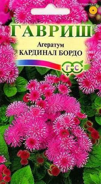 Агератум Кардинал бордо* 0,1г