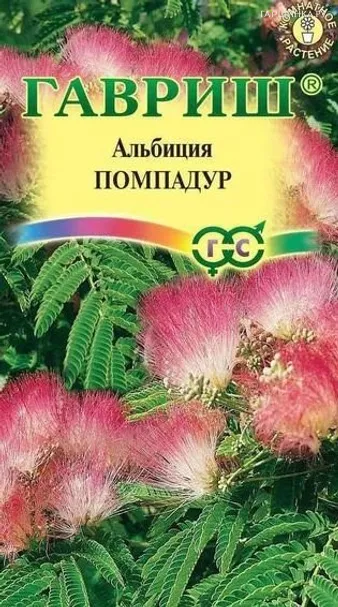 Альбиция Помпадур 3 шт