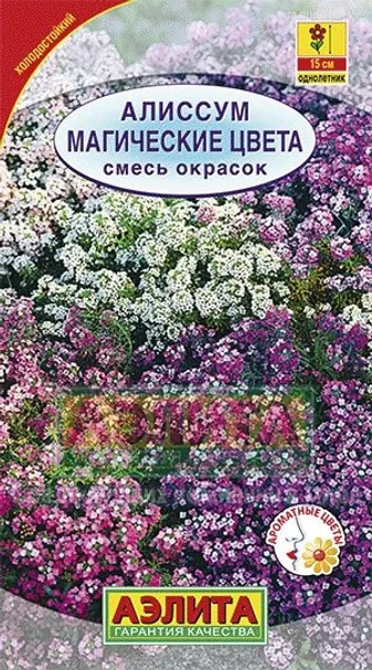 Алиссум Магические цвета, смесь окрасок