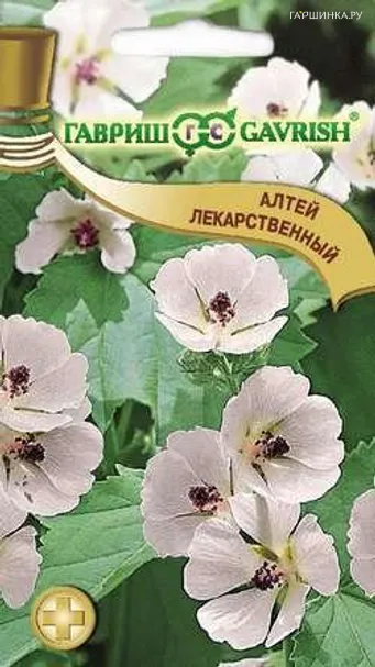 Алтей лекарственный Целитель 0,1 г, Семена Гавриш