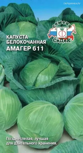 Капуста Амагер 611 белокочанная, Семена Седек