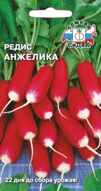 Редис Анжелика