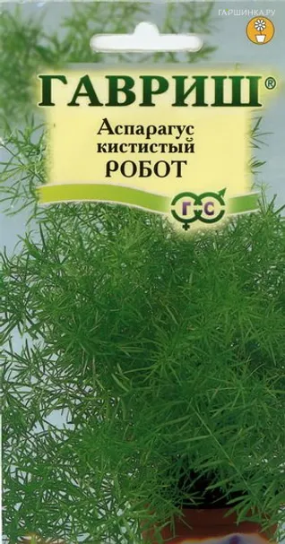 Аспарагус кистистый Робот 0,3 г