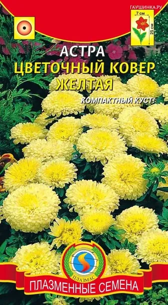 Астра Цветочный ковер, желтая