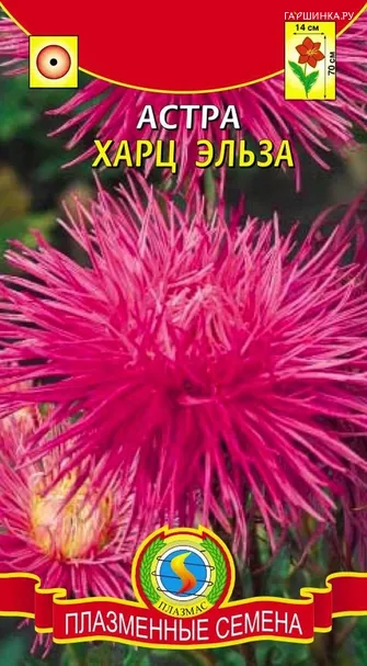 Астра Харц Эльза