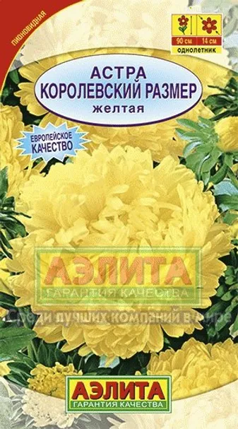 Астра Королевский размер