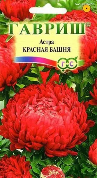 Астра Красная башня 0,3г, пионовидная