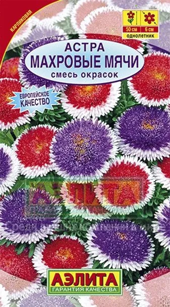 Астра Махровые мячи, смесь окрасок