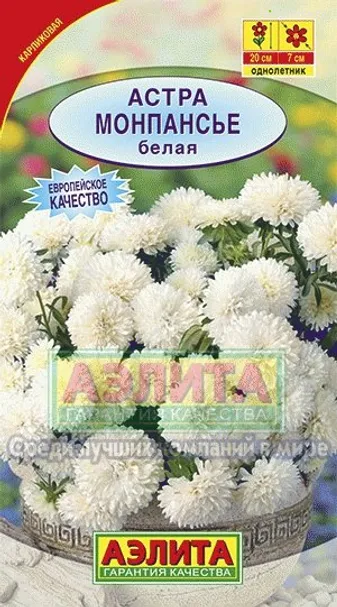 Астра Монпансье белая