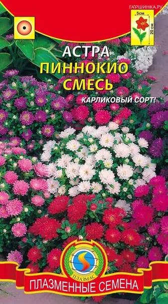 Астра Пиноккио смесь