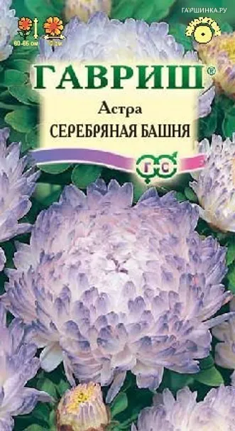 Астра Серебряная башня 0,3 г, пионовидная