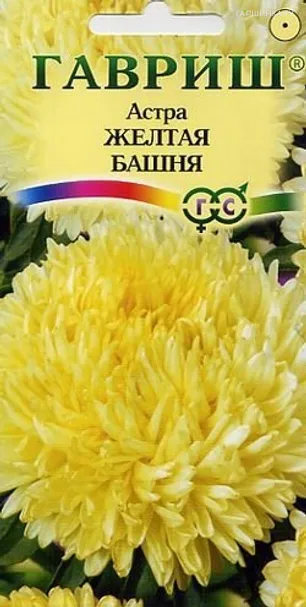 Астра Желтая башня 0,3г пионовидная