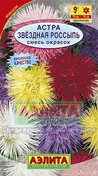 Астра Звездная россыпь, смесь окрасок