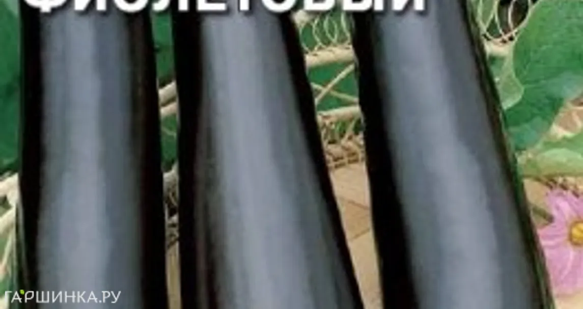 Баклажан Фиолетовый длинный 0,5 г